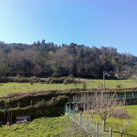 Pension Costina Noia Bagian luar foto